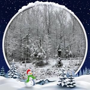 Meet your Posher, Dee dee